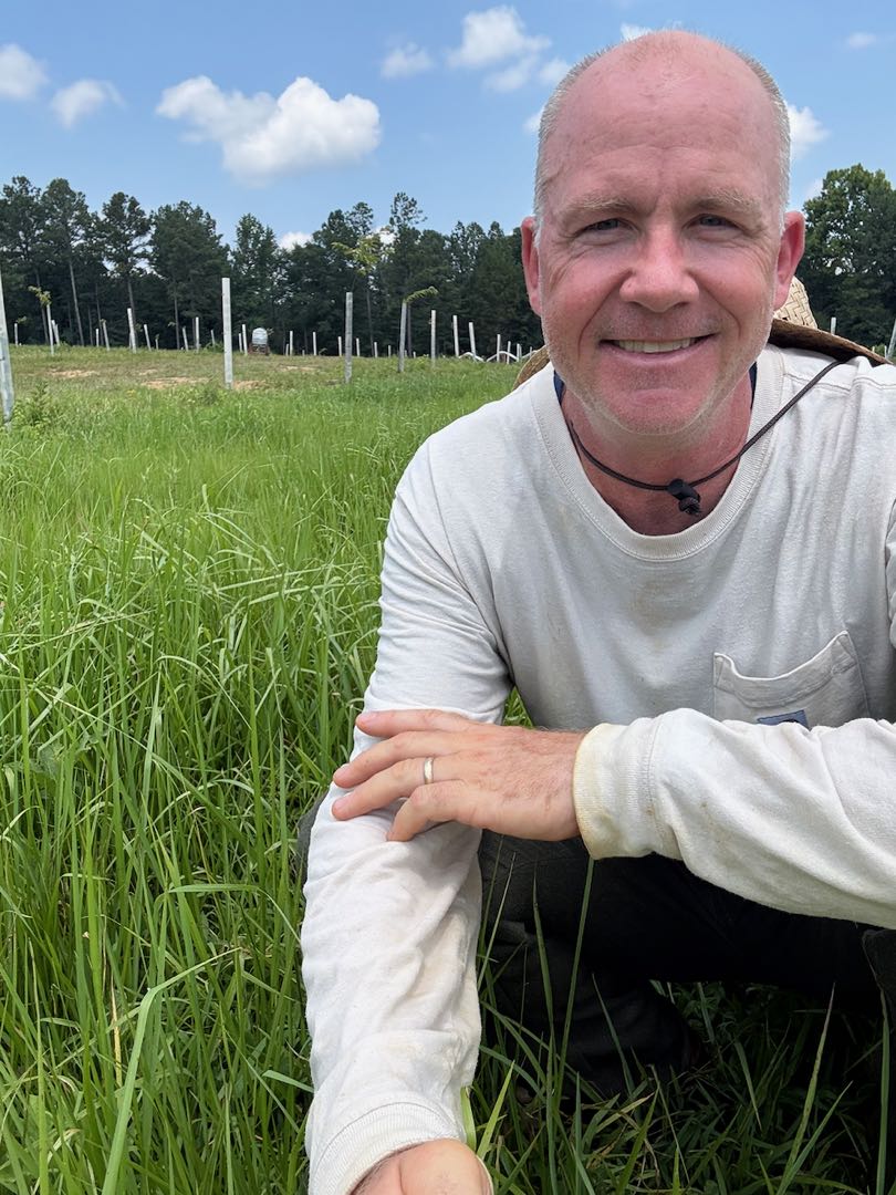 Rolf on pasture regrowth behind the chicken coops