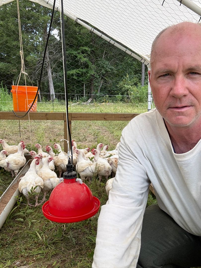 Rolf inside a chicken tractor with Cornish Cross birds
